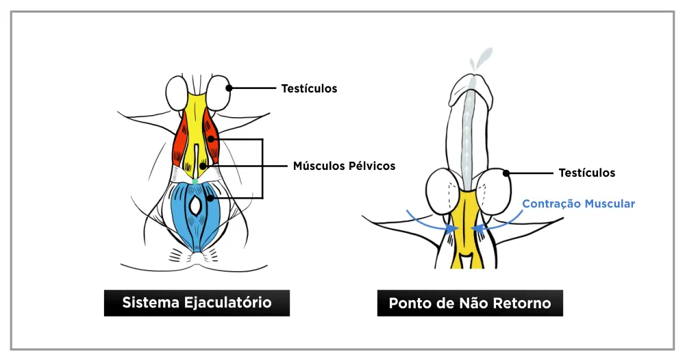 Libidup controle